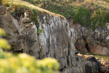 Acantilados y Naturaleza