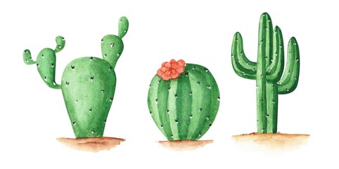 Set of 3 watercolor cacti isolated on a white background. Hand-drawn succulent illustrations. Mexican Green plant collection. Cute tropical objects. Fiesta decoration art.