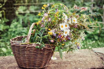 Fototapeta na wymiar Bouquet of wild flowers with daisies in a wicker basket. summer still life