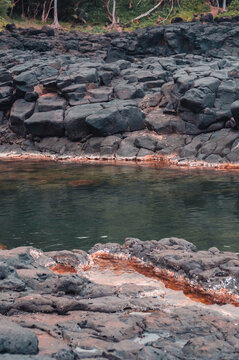 Swimming Hole Near The Beach