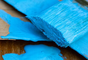 Paint brush ready to paint latex paint with the color blue