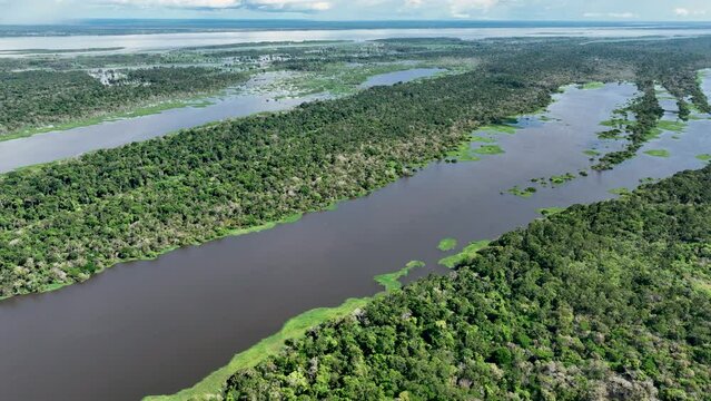 Amazon River at Amazon Forest. The famous tropical forest of world. Manaus Brazil. Amazonian ecosystem. Nature wild life landscape. Solimoes Amazon river biome. Amazon lifestyle.