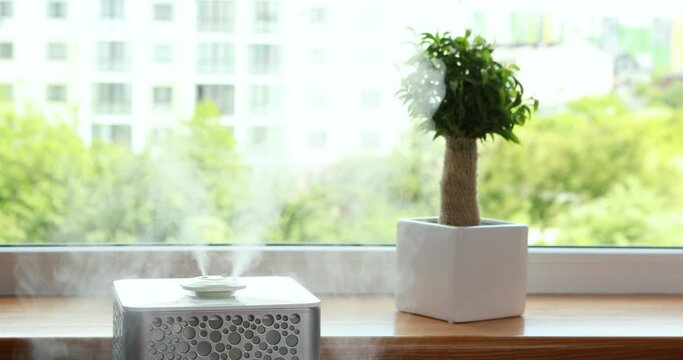 Humidifier for home, adds moisture into dry air.