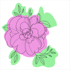 Modern abstract flower lines and arts background with different shapes for wall decoration, postcard or brochure  colourful design. Hand drawn illustrations