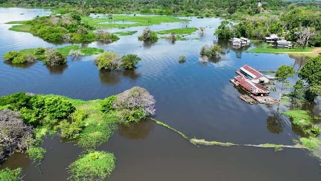 Manaus Brazil. Taruma River at Amazon Forest affluent of giant Black River at Amazonian Biome. Natural wildlife landscape. Global warming logging deforestation. Amazon rainforest wildlife.