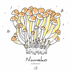 Vector isolated illustration of Group Mycelium Mushrooms Nameko. Line style, Doodle. You can used this objects in postcards, banners, web design, typography, etc. Concept of natural, fresh, raw foods.