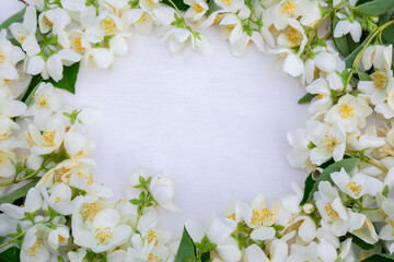 Fototapeta na wymiar Floral spring background with room for design. White jasmine flowers in a circle. Top view