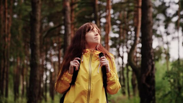 Hiking woman tourist in forest in rain. Free tourist girl walking with backpack through dense forest nature on summer day. Free travel concept. Woman on vacation walking alone in forest, meditation