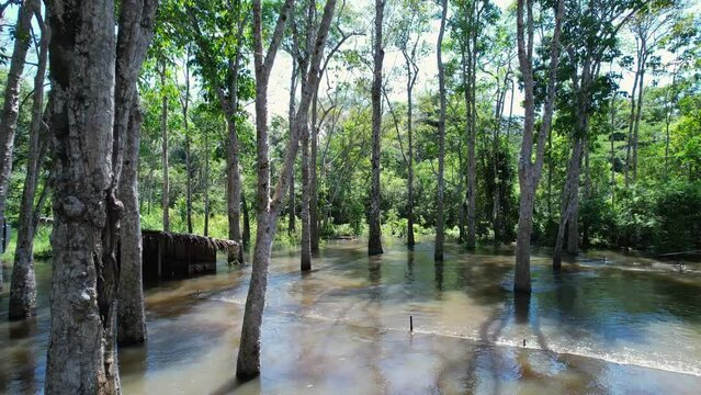 Indigenous native village at Amazon Forest Amazonas Brazil. Jungle lifestyle of aboriginal indian tribe at Amazon Rainforest. Indigene lifestyle. Scenic aboriginal tribe in the Brazilian amazon.