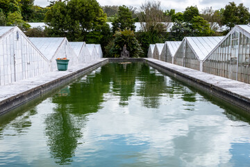 Outside structure view of traditional azorean greenhouse for cultivation of Pineapple fruit plantation at São Miguel Island in The Azores
