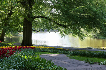 Pathway in park with green trees and beautiful flowers on sunny day. Spring season