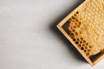 Honeycomb frame on white table, top view with space for text. Beekeeping tool