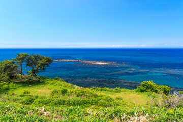Fototapeta na wymiar 北海道伊達市、真夏のアルトリ岬からの眺め【7月】