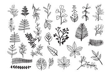 Leaves bundle, greenery floral leaf, floral divider, leaves, leaf, decorative border, text divider, border, greenery vines bundle, hand drawn leaves, wedding ornament 