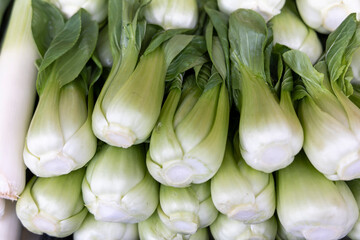 Layers of Bok Choy