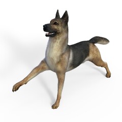 3d-illustration of an isolated german shepherd dog watching