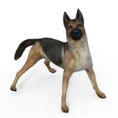 3d-illustration of an isolated german shepherd dog growling