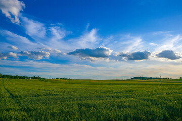 pola, niebo, gras, krajobraz, hayfield, charakter, rolnictwa, zieleń, lato, blękit, chmura, przenica, jary, obszarów wiejskich, farma, chmura, horyzont, kraina, kraj, roślin, countryside,  - obrazy, fototapety, plakaty