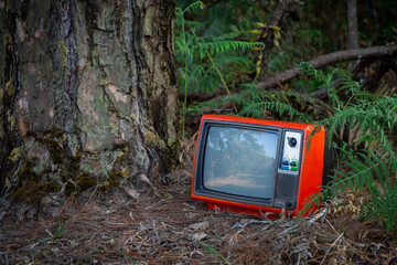 Red retro old television on the ground near the trees in forest, outdoor