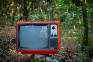 Close up of red retro old television in forest background, outdoor