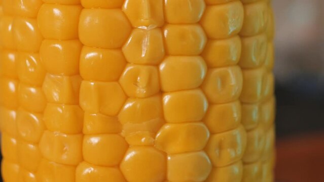 Background close-up of fresh sweet corn on the cob with smooth motion