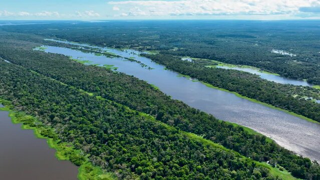 Manaus Brazil. Taruma River at Amazon Forest affluent of giant Black River at Amazonian Biome. Natural wildlife landscape. Global warming logging deforestation. Amazon rainforest wildlife.