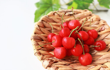 ザルに入ったサクランボ