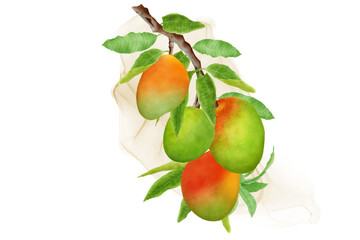 watercolor mango fruits wreath and background design