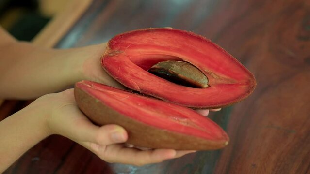 Close up shot of woman's hand holding cut Zapote exotic fruit in Mexico.