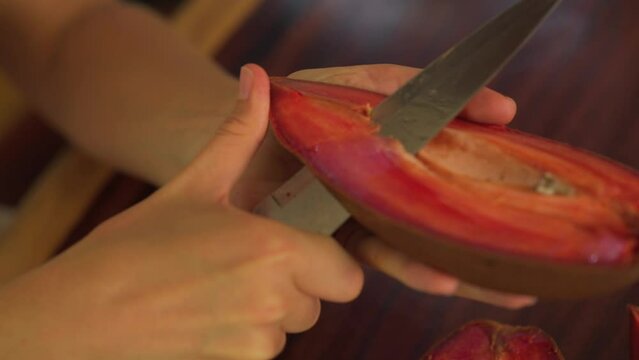 Close up of woman's hand cutting zapote exotic fruit in home at Mexico. Macro closeup of female hands slicing in half one Zapote.