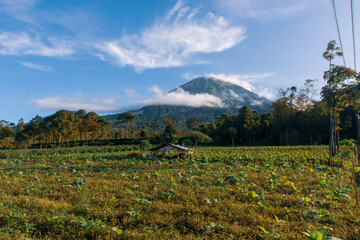 NATURAL VIEW OF MOUNT SINDORO FROM FARMER'S GARDEN