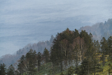 Trees and lake Kussharo, Hokkaido, Japan