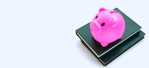 Pink piggy bank with books