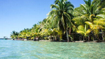 Praia tropical  em Bocas Del Toro, Panamá