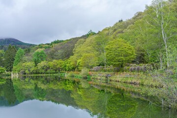 新緑に包まれた春の蓼科湖の情景＠長野