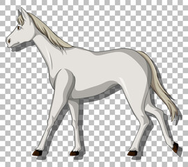 White horse on grid background
