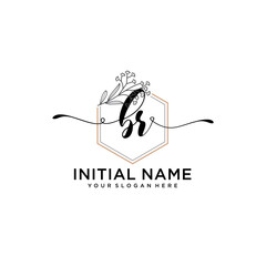 Initial letter BR beauty handwriting logo vector