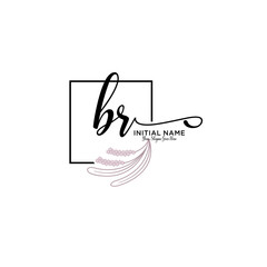 Initial letter BR beauty handwriting logo vector