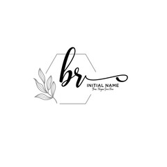 Initial letter BR beauty handwriting logo vector