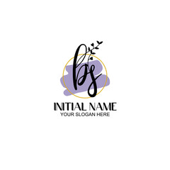 Initial letter BS beauty handwriting logo vector
