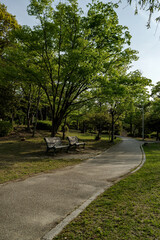 公園の散策路とベンチのある朝の風景