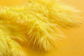 Beautiful yellow feathers on color background