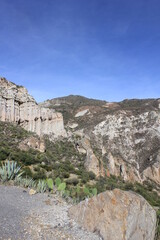montaña en el sur del peru con pinus radiata al rededor 2018 perú