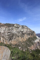 Fototapeta premium montaña en el sur del peru con pinus radiata al rededor 2018 perú