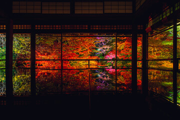 京都 瑠璃光院の夜紅葉 -Red leaves in Kyoto-