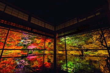 Photo sur Plexiglas Kyoto Feuilles d& 39 automne de nuit de Kyoto Rurikoin - Feuilles rouges à Kyoto -