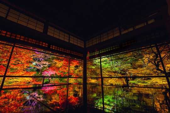 瑠璃光院」の写真素材 | 1,366件の無料イラスト画像 | Adobe Stock