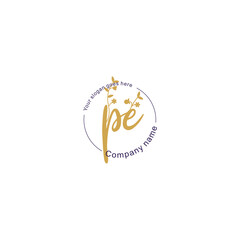 Initial letter PE beauty handwriting logo vector