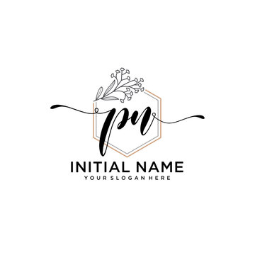 Initial letter PN beauty handwriting logo vector
