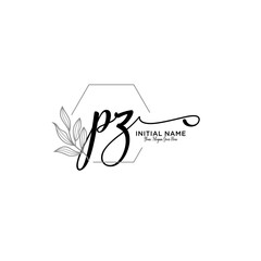 Initial letter PZ beauty handwriting logo vector